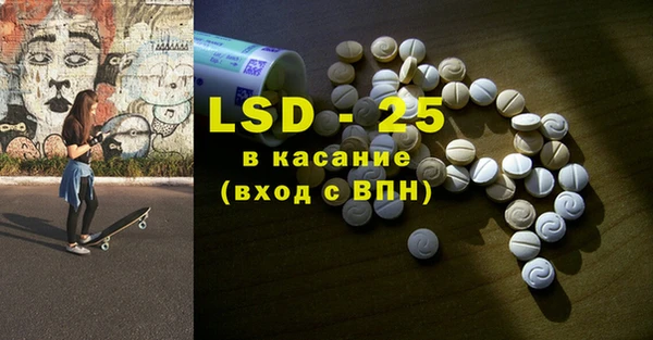 ГАЛЛЮЦИНОГЕННЫЕ ГРИБЫ Абаза