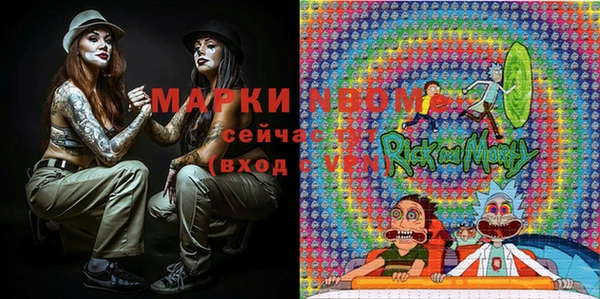 ГАЛЛЮЦИНОГЕННЫЕ ГРИБЫ Абаза