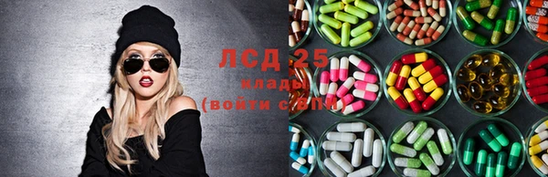 ГАЛЛЮЦИНОГЕННЫЕ ГРИБЫ Абаза