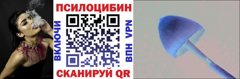где продают   Сусуман  Галлюциногенные грибы прущие грибы 